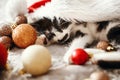 Merry Christmas concept. Cute kitty sleeping in santa hat on bed Royalty Free Stock Photo