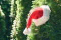 Merry Christmas concept. Santa claus red hat with pompom on green juniper branches in the forest.