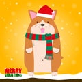Merry Christmas cute big fat Welsh Corgi dog