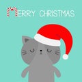 Merry Christmas. Cute Cat In Red Santa Claus Hat. Cartoon Character. Kawaii Face Icon. Kitten Kitty. Funny Baby Pet Animal Candy