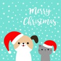 Merry Christmas. Cute dog cat face in red Santa hat. Cute cartoon funny character. Funny kawaii baby animal. Puppy and kitten. Pet Royalty Free Stock Photo