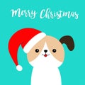 Merry Christmas. Cute dog face in red Santa hat. Funny kawaii doodle baby animal. Cute cartoon funny character. Puppy pooch. Pet Royalty Free Stock Photo