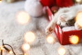 Merry Christmas! Cute kitten sleeping on cozy santa hat with red and gold ornaments in lights