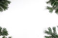 FIR BRANCH AND CHRISTMAS DECOR ORNAMENT IN FRAME