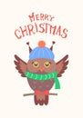 Merry Christmas Feathered Owl Vector Isolated