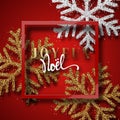 Merry Christmas. French inscription. Joyeux Noel.