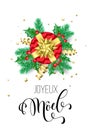 Merry Christmas French Joyeux Noel holiday hand drawn quote calligraphy greeting card background template. Vector Christmas tree h Royalty Free Stock Photo