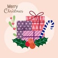 Merry christmas gift boxes candy cane and holly berry card Royalty Free Stock Photo