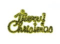 Merry Christmas golden text on white background