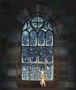 Merry Christmas gothic window with candle, city background, vector