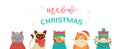 Merry Christmas greeting card and banner with cute cats characters, vector collectionn Royalty Free Stock Photo