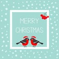 Merry Christmas greeting card. Bullfinch winter red feather bird set. Santa hat. Rowan rowanberry sorb berry. White square frame w