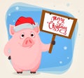 Merry Christmas greeting card with cartoon pig Royalty Free Stock Photo