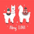 Merry Christmas greeting card with cute Lamas.