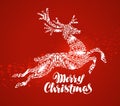 Merry Christmas greeting card. Decorative xmas reindeer. Vector illustration