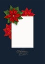 Merry Christmas greeting card with Christmas flowers and white blank for text