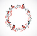 Merry Christmas greeting card frame with a robin and floral elements Royalty Free Stock Photo