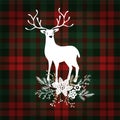 Merry Christmas greeting card, invitation. Deer animal with Christmas floral bouquet decoration. Tartan checkered plaid