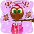 Merry christmas greeting card with owl.