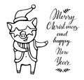 Merry Christmas greeting card with Pig in a Santa`s clothes, a red cap and star glasses. 2019 year of the pig. Christmas Royalty Free Stock Photo