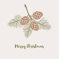 Merry Christmas greeting card. Pine branch with cones in flat style. Holiday banner. Xmas backdrop. Vector illustration. Royalty Free Stock Photo