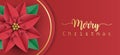 Merry Christmas greeting card with red  poinsettia flowers on red background Royalty Free Stock Photo