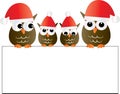 Merry christmas a group pf adorable owls holding a sign