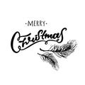 Merry Christmas hand drawn design. Black and white hand written. fir branches Royalty Free Stock Photo