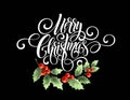 Merry Christmas handwriting script lettering. Christmas greeting card with holly. Vector illustration Royalty Free Stock Photo