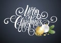 Merry Christmas handwriting script lettering. Greeting background with a Christmas tree and decorations. Vect