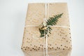 Merry Christmas and Happy Holidays! Stylish christmas gift. Modern christmas gift box with fir branch, golden bell and festive