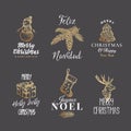 Merry Christmas and Happy New Year Abstract Vector Signs, Labels or Logo Templates Set. Hand Drawn Reindeer, Strobile Royalty Free Stock Photo