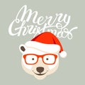 Merry christmas happy new year bear card vector illustration