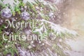 Merry Christmas! Happy New Year! Blurred background of beautiful Christmas tree, snowfall