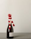 Merry Christmas and a Happy New Year! Bottle of wine in a knitted cap of Santa Claus. Royalty Free Stock Photo