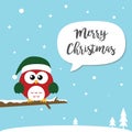Merry Christmas and Happy New Year card. Cute Christmas Owls sit Royalty Free Stock Photo