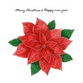 Merry Christmas and happy new year festival with poinsettia flower vector Royalty Free Stock Photo