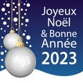 Merry Christmas and Happy New Year 2023. French language. Vector greeting card. Royalty Free Stock Photo