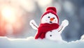 Merry Christmas and Happy New year greeting card with copy-space. Happy snowman standing in snow background Royalty Free Stock Photo