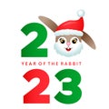 Merry Christmas and Happy New Year 2023 greeting card. Cute rabbit dressed as Santa. Xmas Royalty Free Stock Photo