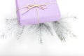 Merry Christmas and Happy New Year greeting card. Purple Gift box with twigs of fir on white background. Royalty Free Stock Photo