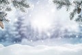 Merry Christmas and new year greeting card. Winter landscape with snow .Christmas background with fir tree branch and cones