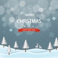 Merry Christmas and happy new year greeting card,winter night landscape with text on gray background Royalty Free Stock Photo
