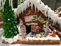 Merry Christmas & Happy New Year, homemade icing house cookies with Santa, reindeer snowman and friend medium shot house 1
