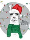 Merry christmas and happy new year from joyful llama Royalty Free Stock Photo