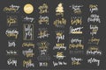 Merry Christmas, Happy New Year 2017 luxury calligraphy emblems set. Royalty Free Stock Photo