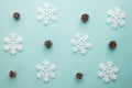 Merry Christmas and Happy New Year. Pattern foam cutter snowflake and dried pine on pastel color