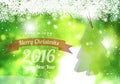 Merry christmas & happy new year 2016 with pine Royalty Free Stock Photo