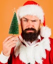 Merry Christmas and Happy New Year. Serious bearded man in Santa costume with small Christmas tree. Christmas, New Year Royalty Free Stock Photo