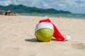 Merry Christmas and Happy New Year on the summer beach. Coconut in santa hat. Palms and blue sky on the background Royalty Free Stock Photo